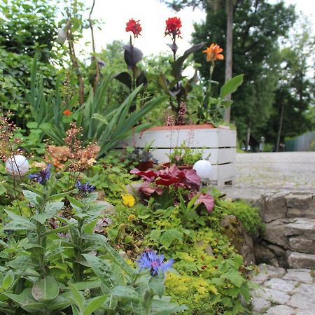 Pokoj Kameralny- De Luxe Z Oddzielnym Wejsciem Карпач Экстерьер фото