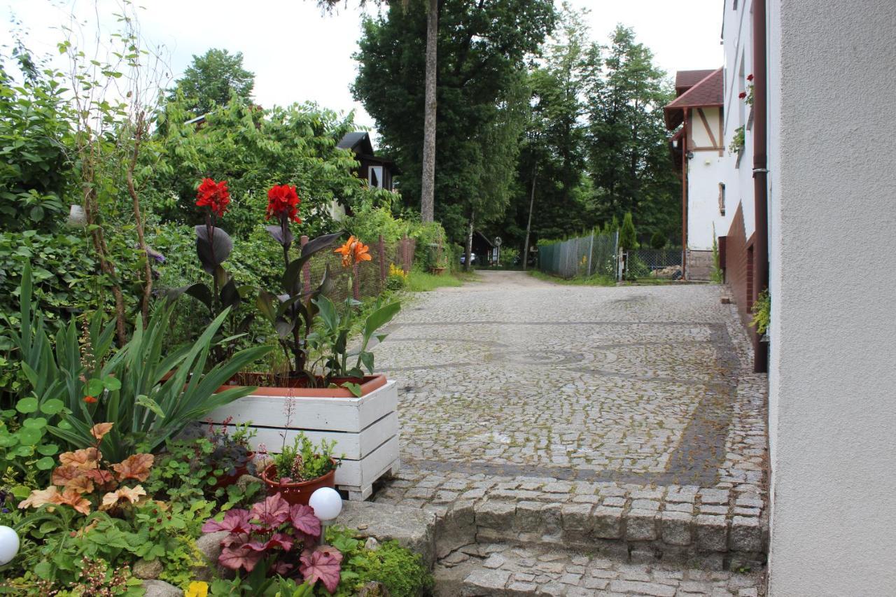 Pokoj Kameralny- De Luxe Z Oddzielnym Wejsciem Карпач Экстерьер фото