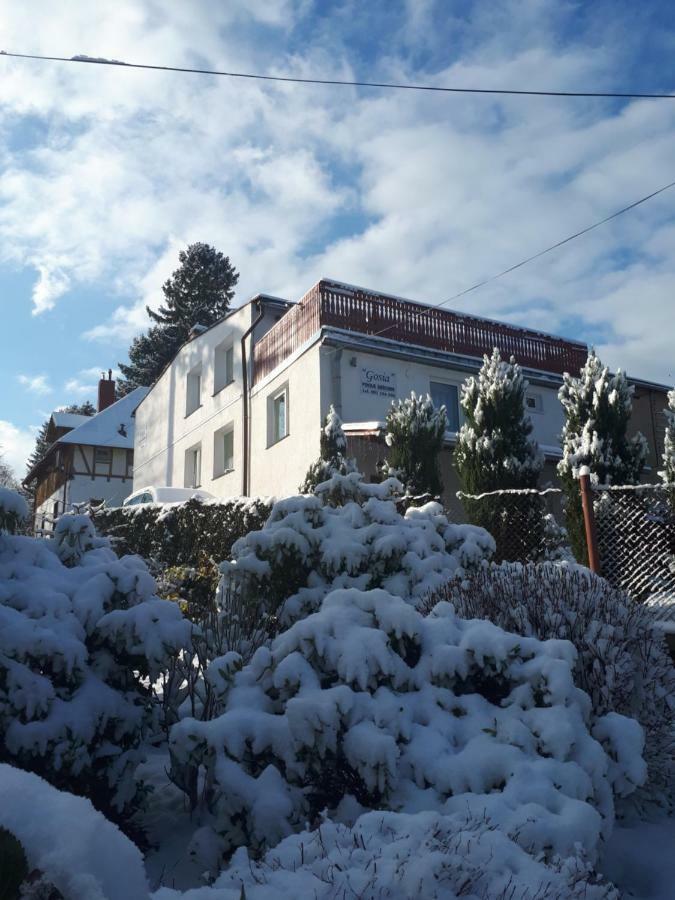 Pokoj Kameralny- De Luxe Z Oddzielnym Wejsciem Карпач Экстерьер фото