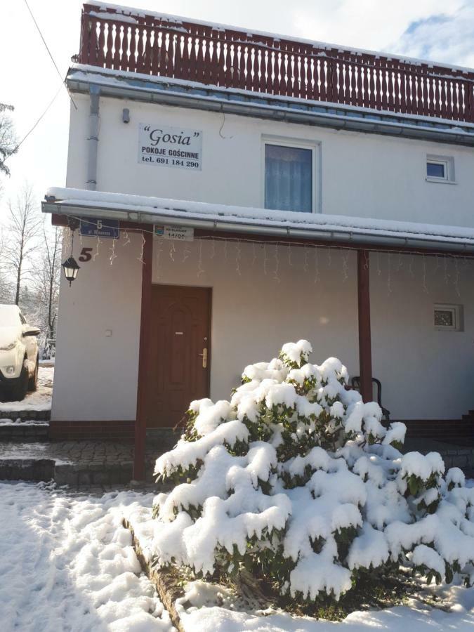 Pokoj Kameralny- De Luxe Z Oddzielnym Wejsciem Карпач Экстерьер фото